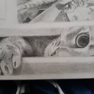 Custom Pet Portraits